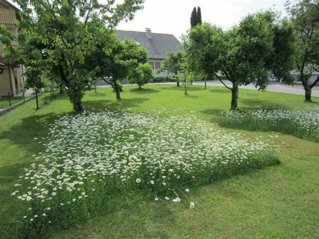 Ferienwohnung Apartma Majda Bled Exterior foto
